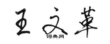 駱恆光王文革行書個性簽名怎么寫