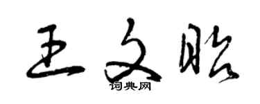 曾慶福王文昭草書個性簽名怎么寫