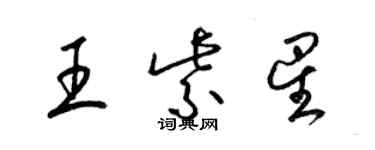 梁錦英王紫星草書個性簽名怎么寫