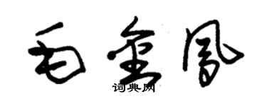 朱錫榮毛金鳳草書個性簽名怎么寫