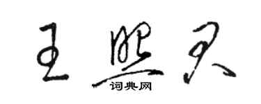 駱恆光王照君草書個性簽名怎么寫