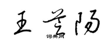 梁錦英王芝陽草書個性簽名怎么寫