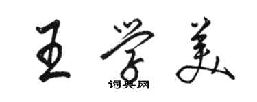 駱恆光王學美行書個性簽名怎么寫