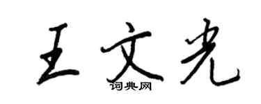 王正良王文光行書個性簽名怎么寫