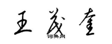 梁錦英王茂奎草書個性簽名怎么寫