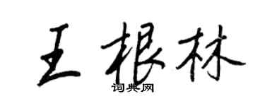 王正良王根林行書個性簽名怎么寫