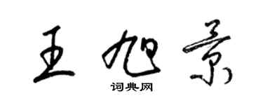 梁錦英王旭景草書個性簽名怎么寫