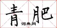 何伯昌青肥楷書怎么寫