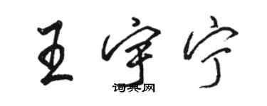 駱恆光王宇寧行書個性簽名怎么寫