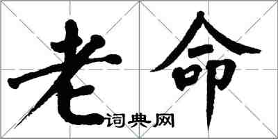 翁闓運老命楷書怎么寫