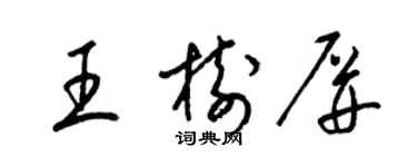 梁錦英王樹屏草書個性簽名怎么寫