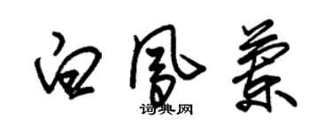 朱錫榮白鳳蘭草書個性簽名怎么寫