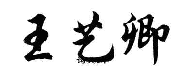 胡問遂王藝卿行書個性簽名怎么寫