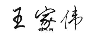 駱恆光王家偉行書個性簽名怎么寫