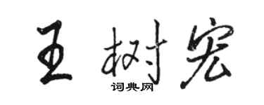 駱恆光王樹宏行書個性簽名怎么寫