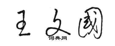 駱恆光王文國草書個性簽名怎么寫