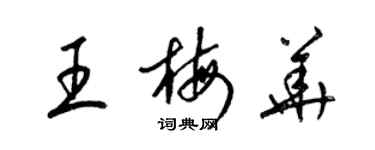 梁錦英王梅華草書個性簽名怎么寫