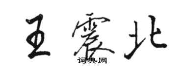 駱恆光王震北行書個性簽名怎么寫