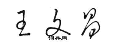 駱恆光王文昌草書個性簽名怎么寫