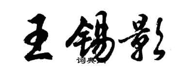 胡問遂王錫影行書個性簽名怎么寫
