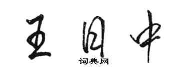 駱恆光王日中行書個性簽名怎么寫