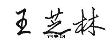 駱恆光王芝林行書個性簽名怎么寫