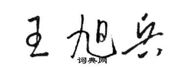 駱恆光王旭兵草書個性簽名怎么寫