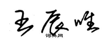 朱錫榮王辰唯草書個性簽名怎么寫