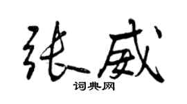曾慶福張威行書個性簽名怎么寫