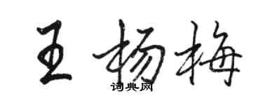 駱恆光王楊梅行書個性簽名怎么寫