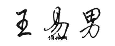 駱恆光王易男行書個性簽名怎么寫