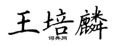 丁謙王培麟楷書個性簽名怎么寫