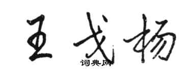 駱恆光王戈楊行書個性簽名怎么寫