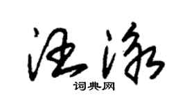 朱錫榮汪泳草書個性簽名怎么寫