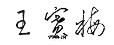 駱恆光王賽梅草書個性簽名怎么寫