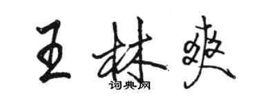 駱恆光王林爽行書個性簽名怎么寫