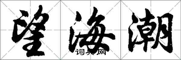 胡問遂望海潮行書怎么寫