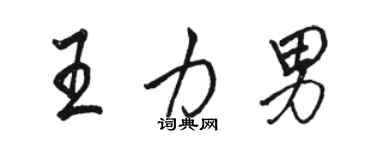 駱恆光王力男行書個性簽名怎么寫