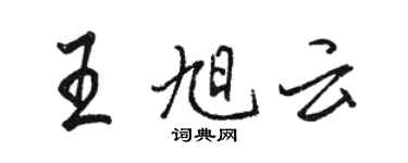 駱恆光王旭雲行書個性簽名怎么寫