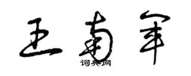 曾慶福王南軍草書個性簽名怎么寫