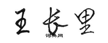 駱恆光王長里行書個性簽名怎么寫