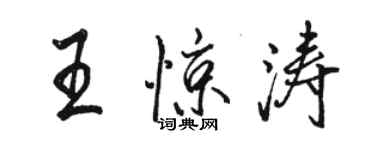 駱恆光王驚濤行書個性簽名怎么寫