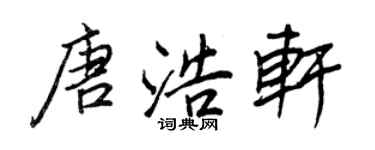王正良唐浩軒行書個性簽名怎么寫