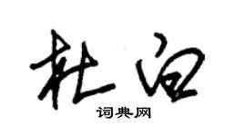 朱錫榮杜白草書個性簽名怎么寫