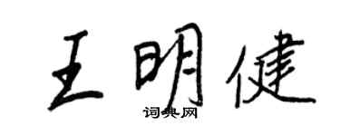 王正良王明健行書個性簽名怎么寫