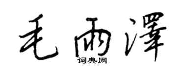 王正良毛雨澤行書個性簽名怎么寫