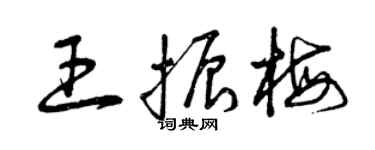 曾慶福王振梅草書個性簽名怎么寫