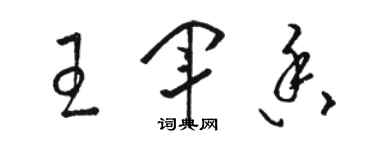 駱恆光王軍香草書個性簽名怎么寫