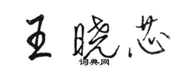 駱恆光王曉芯行書個性簽名怎么寫