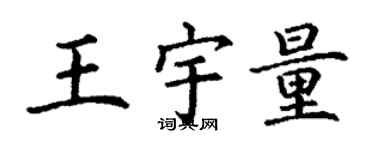 丁謙王宇量楷書個性簽名怎么寫